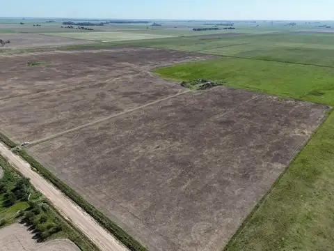 Campo en Luis Palacios