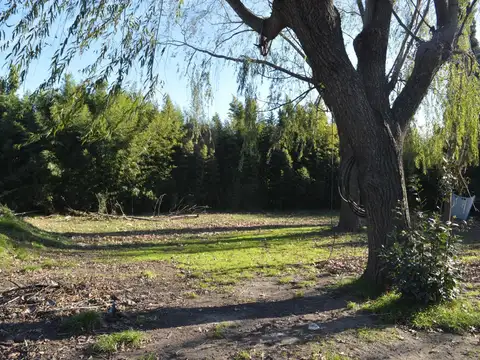 LOTE CON VIVIENDA A RECLICLAR SAN VICENTE CON PILETA