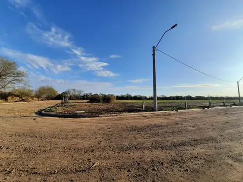 VENTA-LOTES-SINSACATE-LOS ALGARROBOS