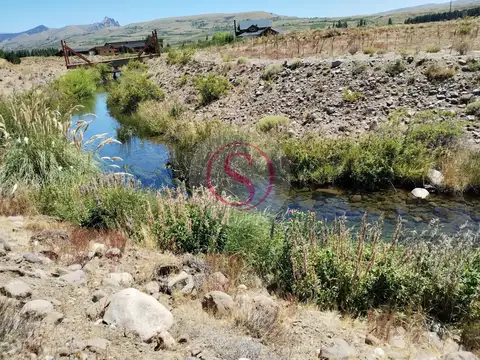 Las Marías del Valle 100