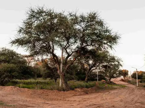 Terreno en Venta en Toay, USD 25.000