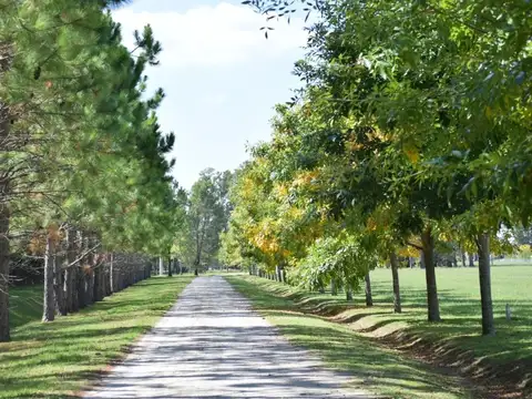 Brandsen Ruta 2 Km 65, B1980 Coronel Brandsen, Provincia de Buenos Aires, Argentina 100