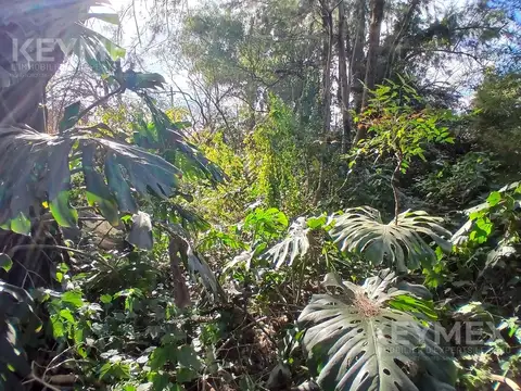 Terreno en Venta 32  mts Fondo