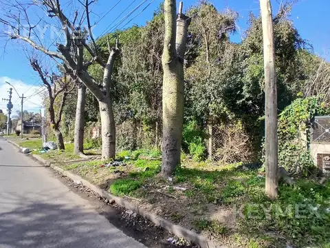 COGLIATI Y PIOVANO