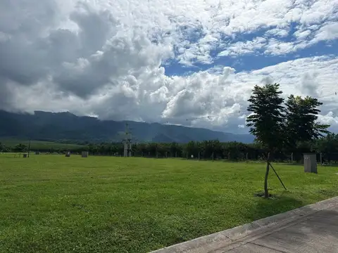 prados de yerba buena