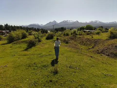 John Murray Thomas y Antonio Miguens - QUINTA 3