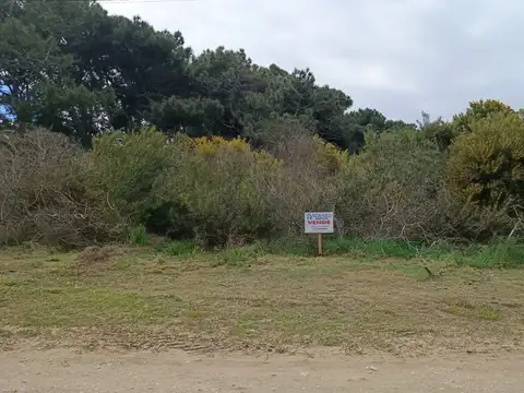 Av Obligado 100