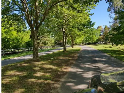Quinta en Venta al Noroeste