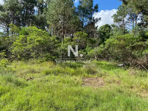 Terreno en Venta en Punta Ballena, USD 85.000