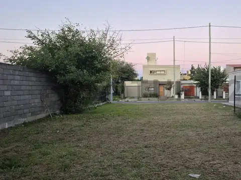 Lagunilla 3500, Piso 0