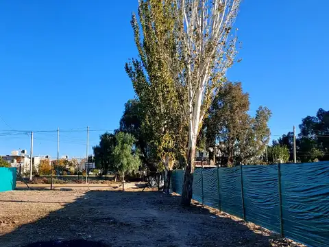 Terreno en Venta 14  mts Frente