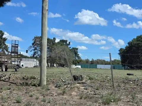 Trabajadores Municipales