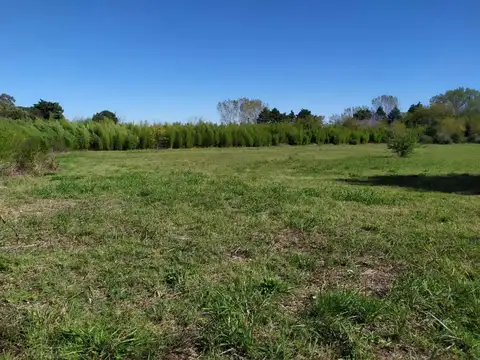 Terreno en Venta de 15000,0 m2