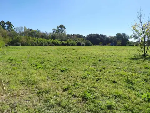 Terreno en Venta, FOT 0,8