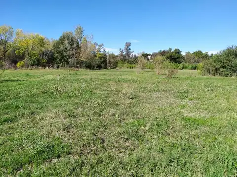 Pilar. Terreno 150m x 100m. 1.5Has. CR1. Apto Loteo.