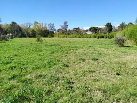 Pilar. Terreno 150m x 100m. 1.5Has. CR1. Apto Loteo.