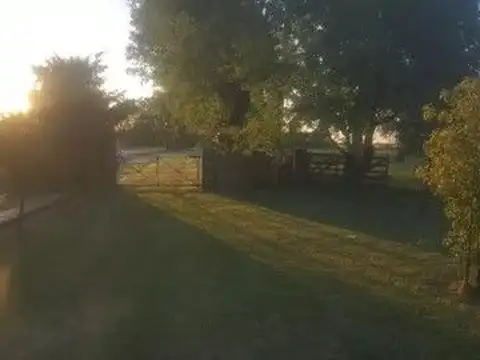 Campo - Venta - Argentina, Pergamino - ruta 8 mojon 220 220