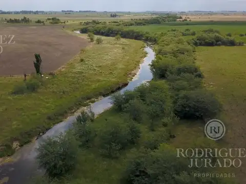 Ruta 31 - San Antonio de Areco 100
