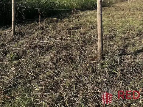 Malvinas Argentinas