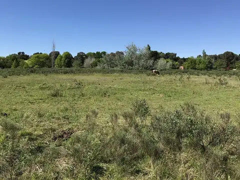 Terreno en Venta de 29400,0 m2