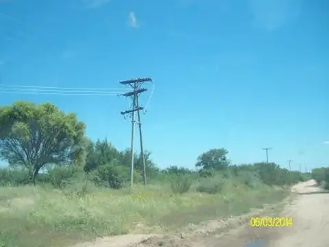 Campo en Alquiler de 350  ha