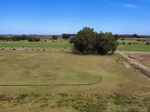 Terreno en Venta de 2036,0 m2