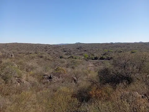 Reserva Cruz Chiquita