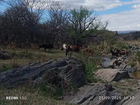Venta ,Campo 178 HA en Salsacate ,Traslasierra
