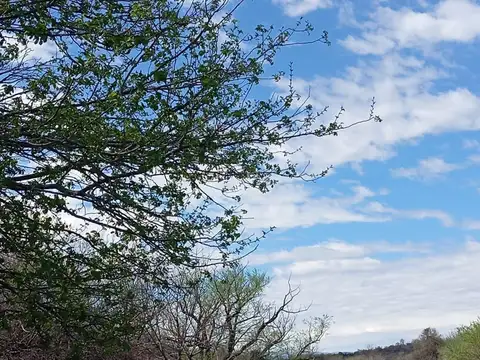 Venta ,Campo 178 HA en Salsacate ,Traslasierra