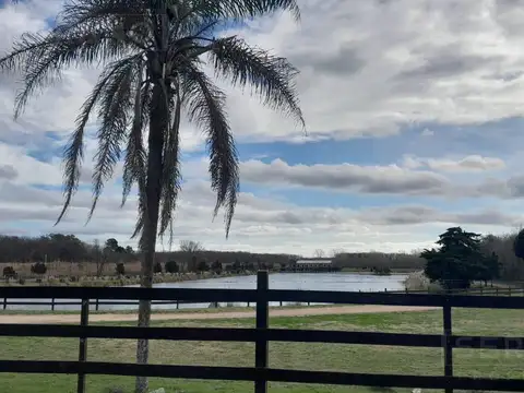 Terreno en Venta de 5000,0 m2