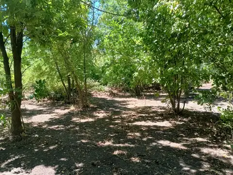 Terreno en Venta 37  mts Frente