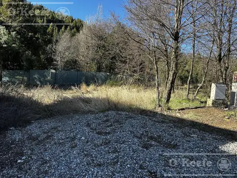 Lote en venta en El Estribo km 1 Av. Pioneros