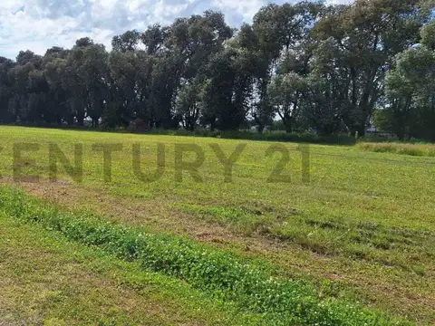 Terreno en Venta 45  mts Frente