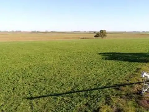 Campo 49has Ganadero Agricola