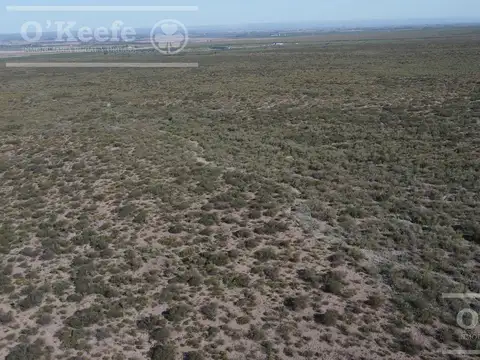 Campo en venta de 16 has en Mendoza