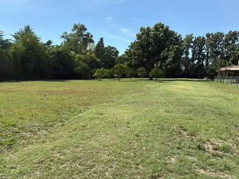 Carlos V 1351. Entre San alejandro y Calle sin nombre