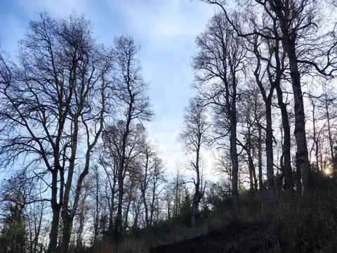 Terreno en Venta 134  mts Fondo