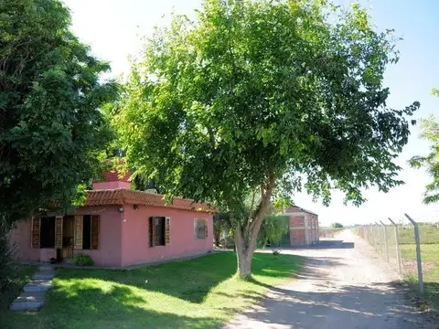 42 has Finca con viñedos sobre ruta en Mendoza