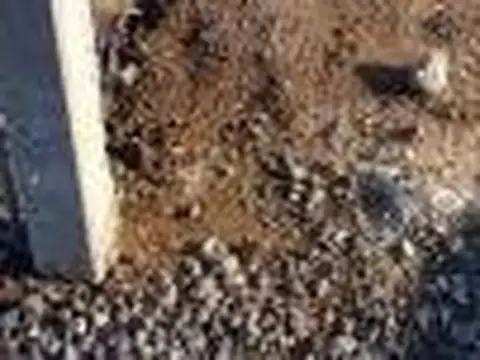 Terreno en Venta 30  mts Fondo