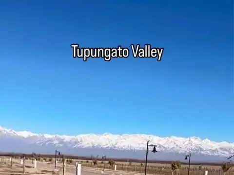 Terreno en Venta de 1000,0 m2