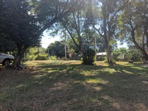 Oro Verde