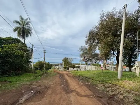 Oro Verde