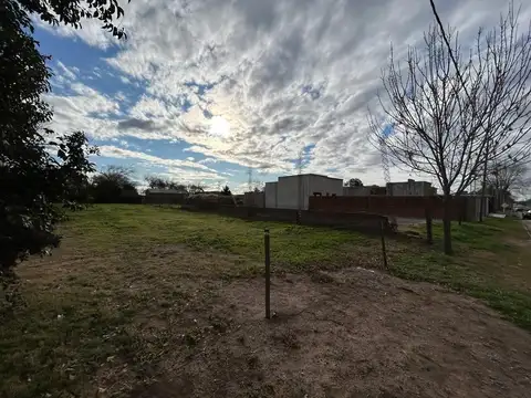 Belgrano 300