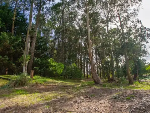 Terreno venta Mar de las Pampas doble acceso