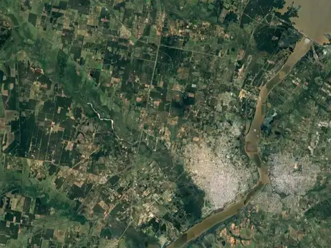 Campo Forestal - Concordia