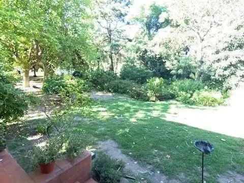 Quinta en Venta en Trenque Lauquen, USD 280.000