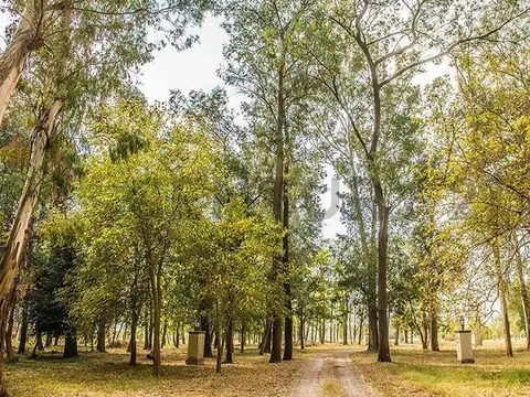 Terreno en Venta en Ezeiza, USD 130.000