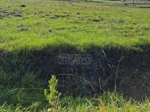 Beethoven-manzanares Sn 100