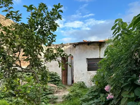 República Del Paraguay 338