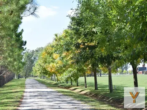 Terreno en Venta de 2577,0 m2